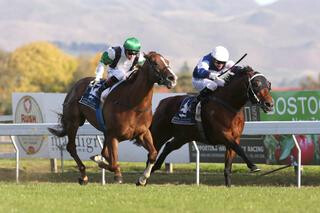 Passing Shot victorious in the Listing NZB Finance Sprint. Photo Credit: Trish Dunell.